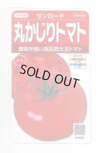 送料無料　[トマト/大玉トマト]　サンロード　11粒　(株)サカタのタネ　実咲450（002812）