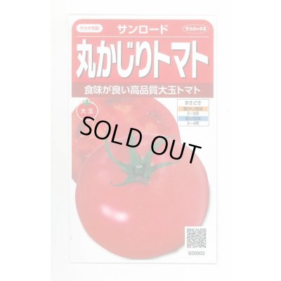 画像1: 送料無料　[トマト/大玉トマト]　サンロード　11粒　(株)サカタのタネ　実咲450（002812）