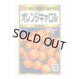 送料無料　[トマト/ミニトマト]　オレンジキャロル　40粒　(株)サカタのタネ　実咲PRO