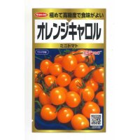 送料無料 　ミニトマト　オレンジキャロル　40粒　サカタのタネ　実咲PRO