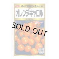 送料無料　[トマト/ミニトマト]　オレンジキャロル　40粒　(株)サカタのタネ　実咲PRO