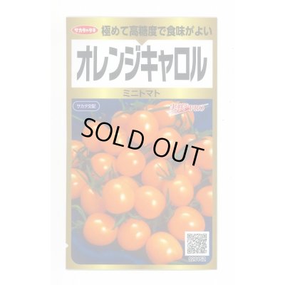 画像1: 送料無料　[トマト/ミニトマト]　オレンジキャロル　40粒　(株)サカタのタネ　実咲PRO