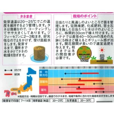 画像2: 花の種　よく咲くペチュニア　バカラIQミックス　約50粒　実咲350