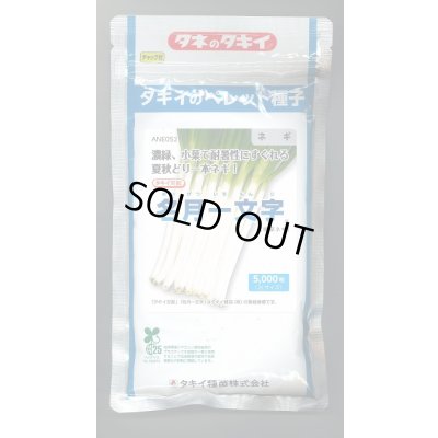 画像1: 送料無料 [ねぎ] 名月一文字 ペレット種子 2L 5000粒 タキイ種苗(株)