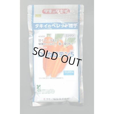 画像1: 送料無料[人参] Dr.カロテン5 ペレット種子 ペレット1万粒 タキイ種苗(株)