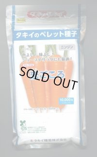 送料無料　[人参]　恋ごころ　ペレット1万粒　タキイ種苗(株)