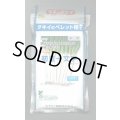 送料無料[ねぎ]　初夏一文字　2Lコート5千粒　タキイ種苗
