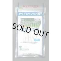 送料無料[ねぎ]　初夏一文字　2Lコート5千粒　タキイ種苗