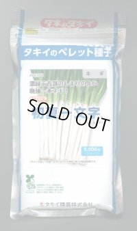 送料無料[ねぎ]　初夏一文字　2Lコート5千粒　タキイ種苗