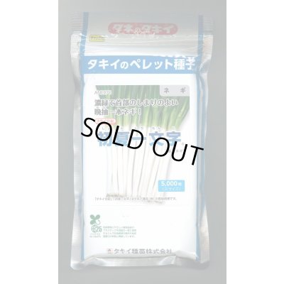 画像1: 送料無料[ねぎ]　初夏一文字　2Lコート5千粒　タキイ種苗