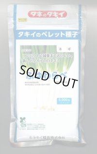送料無料　[ねぎ]　ふゆわらべ　2Lペレット5千粒　タキイ種苗