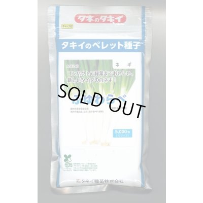 画像1: 送料無料　[ねぎ]　ふゆわらべ　2Lペレット5千粒　タキイ種苗
