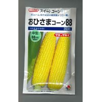 [とうもろこし]　おひさまコーン８８　200粒　タキイ種苗（株）