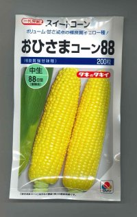 送料無料　[とうもろこし]　おひさまコーン88　200粒　タキイ種苗(株)