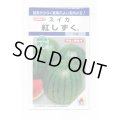送料無料　[スイカ]　小玉スイカ　紅しずく　8粒　タキイ種苗(株)　DF