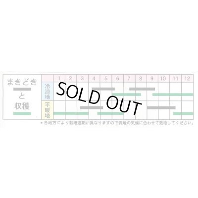画像2: 送料無料　[葉物]　油菜　8ml　(株)タカヤマシード