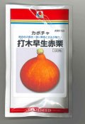 送料無料　[かぼちゃ]　打木早生赤栗　100粒　タキイ種苗