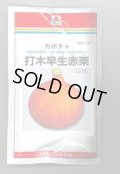 送料無料　[かぼちゃ]　打木早生赤栗　100粒　タキイ種苗