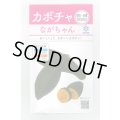 送料無料　[かぼちゃ]　ながちゃん　8ml　(およそ13粒)　雪印種苗(株)
