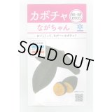 送料無料　[かぼちゃ]　ながちゃん　8ml　(およそ13粒)　雪印種苗(株)