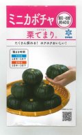 送料無料　[かぼちゃ]　栗てまり　8ml(およそ16粒)　雪印種苗(株)