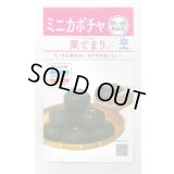 送料無料　[かぼちゃ]　栗てまり　8ml(およそ16粒)　雪印種苗(株)