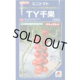 送料無料　トマト　TY千果　1000粒　タキイ種苗(株)