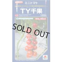 送料無料　トマト　TY千果　1000粒　タキイ種苗(株)
