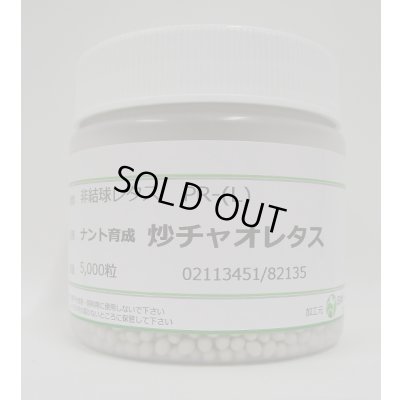 画像1: [レタス] 炒チャオ (ちゃおちゃお)ペレット種子 5000粒 ナント種苗(株)
