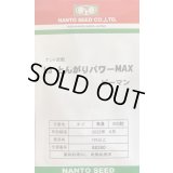 送料無料　[ピーマン]　L3とんがりパワーMAX　500粒　ナント種苗(株)