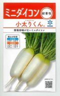 送料無料　[大根]　小太りくん　2ml(およそ190粒)　雪印種苗(株)