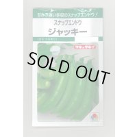 送料無料　[えんどう]　ジャッキー　18ml　タキイのタネ　GF