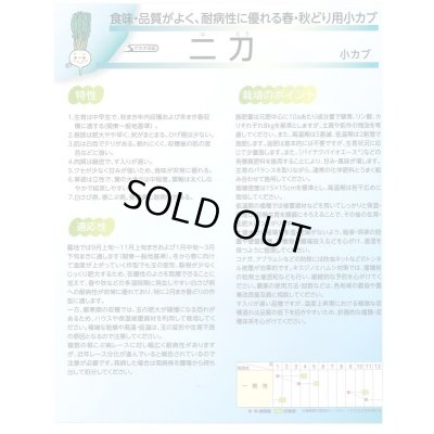 画像4: 送料無料 [かぶ] 二刀 1dl (株)サカタのタネ