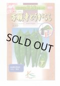 送料無料　[とうがらし]　万願寺とうがらし　1ml　(株)タカヤマシード
