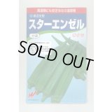 送料無料　[オクラ]　スターエンゼル　45粒　渡辺農事（株）