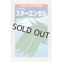 送料無料　[オクラ]　スターエンゼル　45粒　渡辺農事（株）