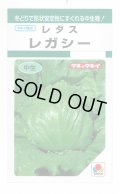送料無料　[レタス]　レガシー　0.5ml　(およそ230粒)　タキイ種苗(株)　GF