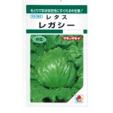 送料無料　[レタス]　レガシー　0.5ml　(およそ230粒)　タキイ種苗(株)　GF