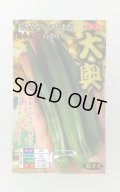 送料無料　[オクラ]　大奥　6ml(約60粒)　ナント種苗(株)