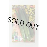 送料無料　[オクラ]　大奥　6ml(約60粒)　ナント種苗(株)