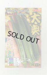 送料無料　[オクラ]　大奥　6ml(約60粒)　ナント種苗(株)