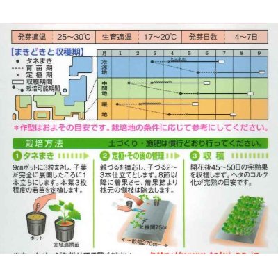 画像2: [かぼちゃ]　夢味　　9粒 　タキイ種苗　RF