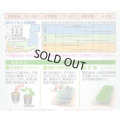 画像2: 送料無料　[かぼちゃ]　夢味　9粒　タキイ種苗　RF