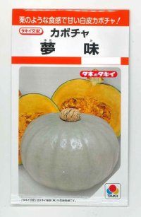 [かぼちゃ]　夢味　　9粒 　タキイ種苗　RF