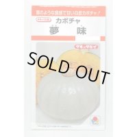 送料無料　[かぼちゃ]　夢味　9粒　タキイ種苗　RF