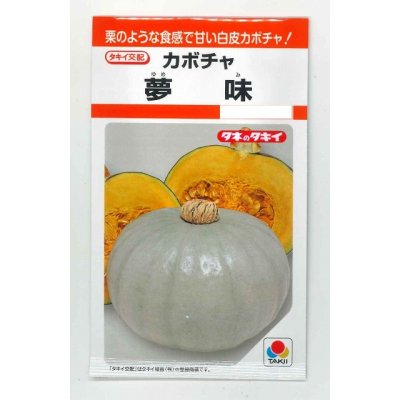 画像1: 送料無料　[かぼちゃ]　夢味　9粒　タキイ種苗　RF
