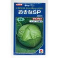 送料無料　[キャベツ]　おきなSP　2000粒　貴種(コートしてません)　タキイ種苗(株)