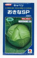 送料無料　[キャベツ]　おきなSP　2000粒　貴種(コートしてません)　タキイ種苗(株)