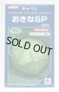 送料無料　[キャベツ]　おきなSP　2000粒　貴種(コートしてません)　タキイ種苗(株)