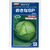 送料無料　[キャベツ]　おきなSP　2000粒　貴種(コートしてません)　タキイ種苗(株)